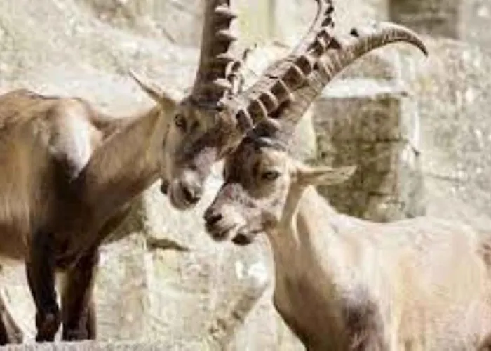 Riverine - Ideal Up To 4 Or 6 伯尔尼