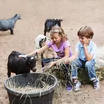 Riverine - Ideal Up To 4 Or 6 *