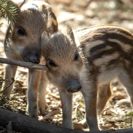 Riverine - Ideal Up To 4 Or 6 *