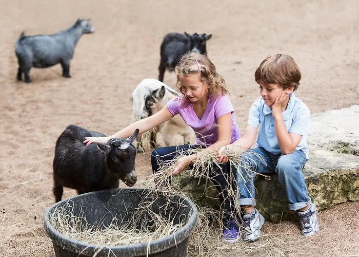 Riverine - Ideal Up To 4 Or 6 *